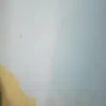 Rincon Romantico