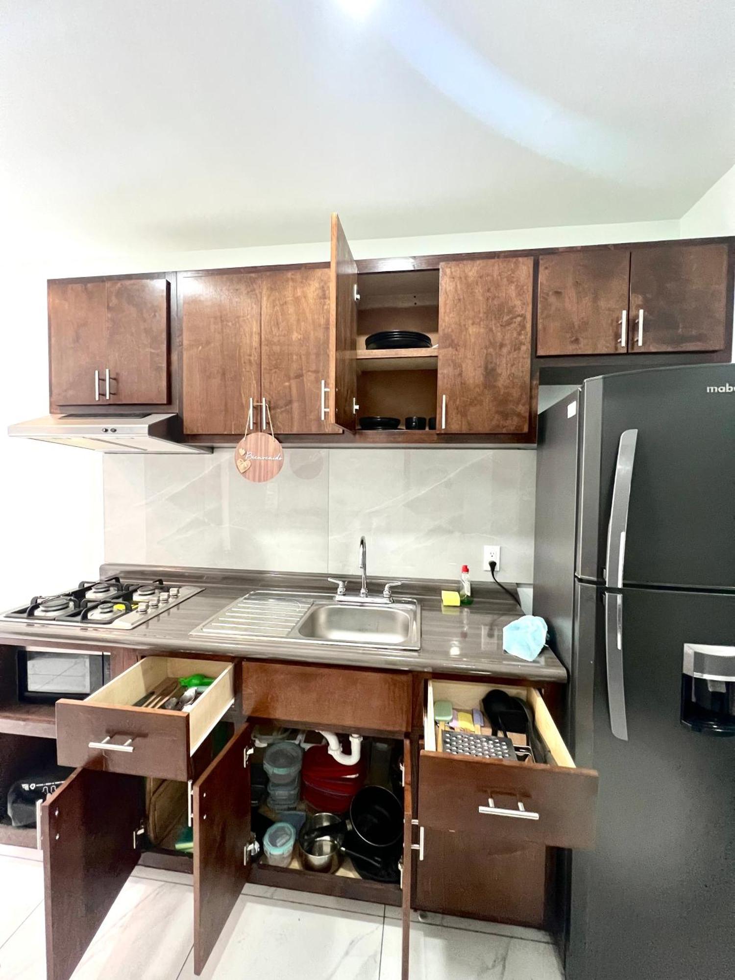 Departamento Frente A Zona Rio Apartamento Tijuana