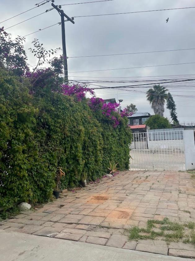 D4 Hermoso Privado * Tijuana