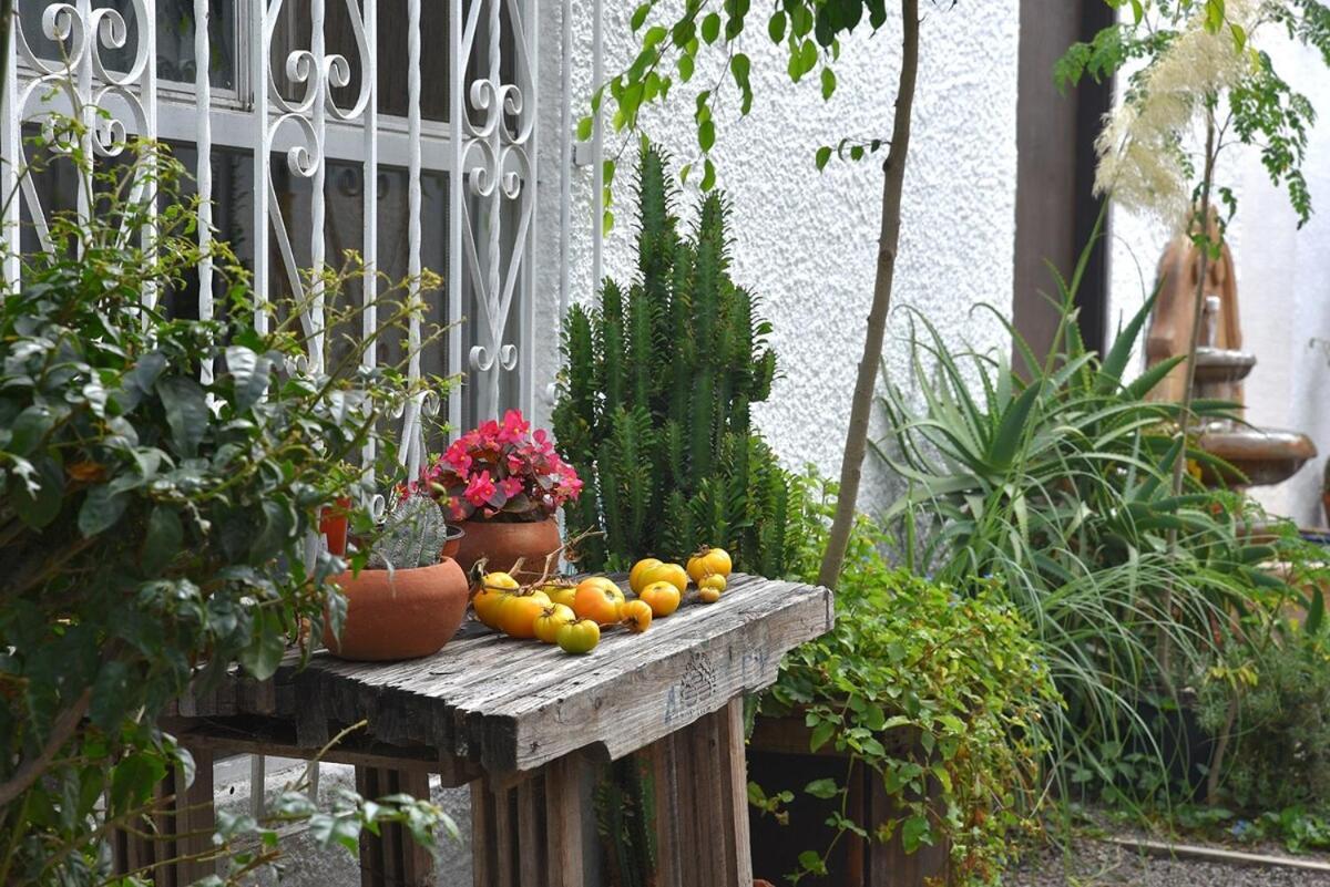 Apartamento Beautiful In The Heart Of Playas!