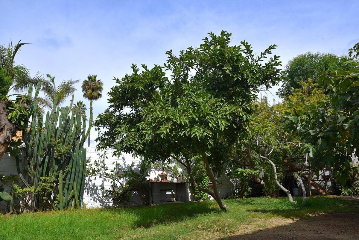 Beautiful In The Heart Of Playas! * Tijuana