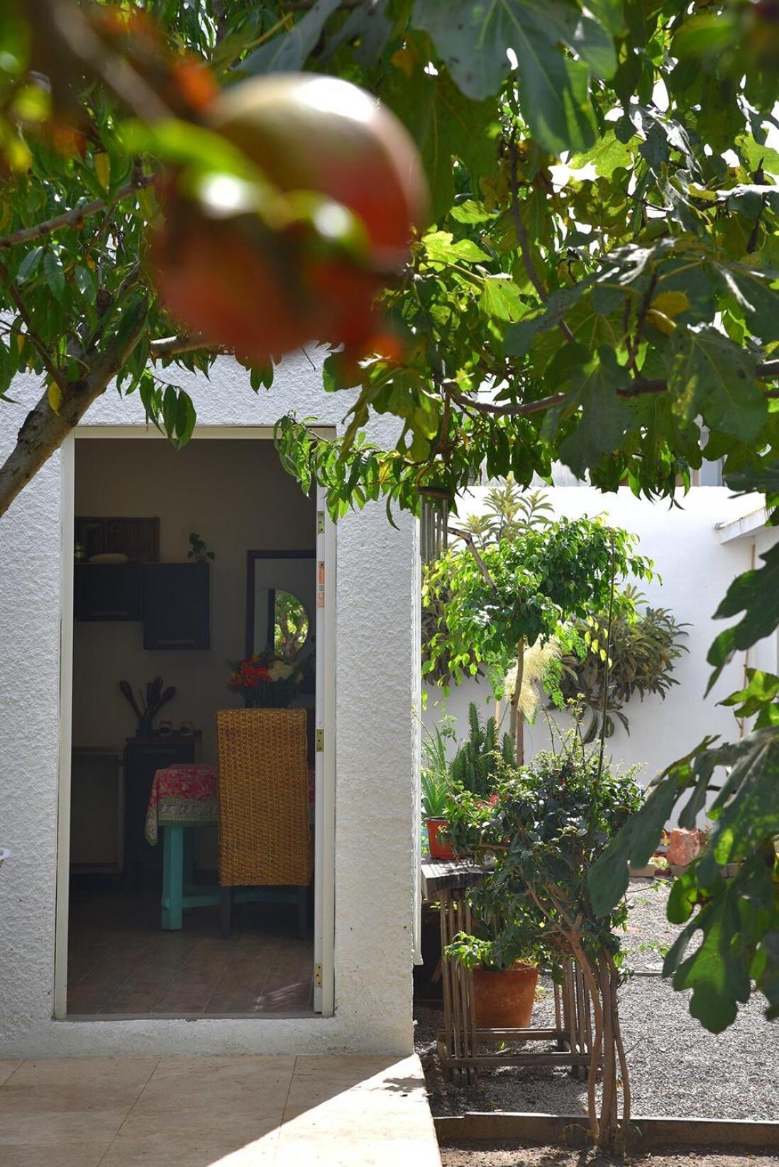 Beautiful In The Heart Of Playas! * Tijuana